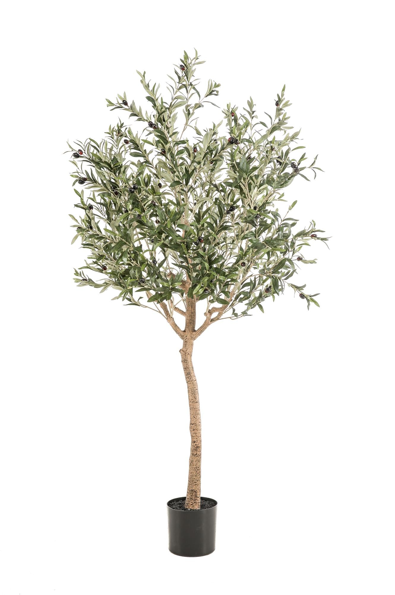 Olivier artificiel - Olea europaea - Olivier - 180 cm