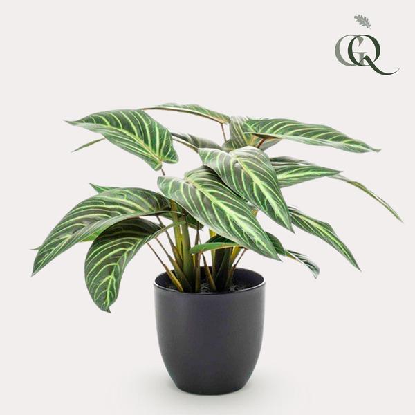 Plante artificielle - Calathea Zebrina - Plante d'ombre - 38 cm
