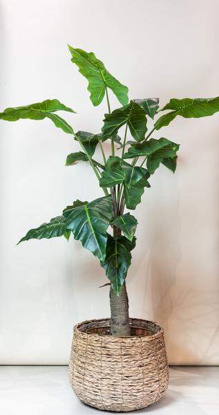 Plante artificielle - Alocasia - Oreille d'éléphant - 150 cm