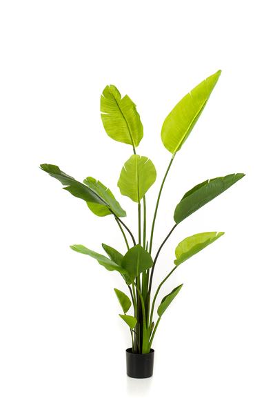 Plante artificielle - Strelitzia Nicolai - Fleur d'oiseau de paradis - 150 cm