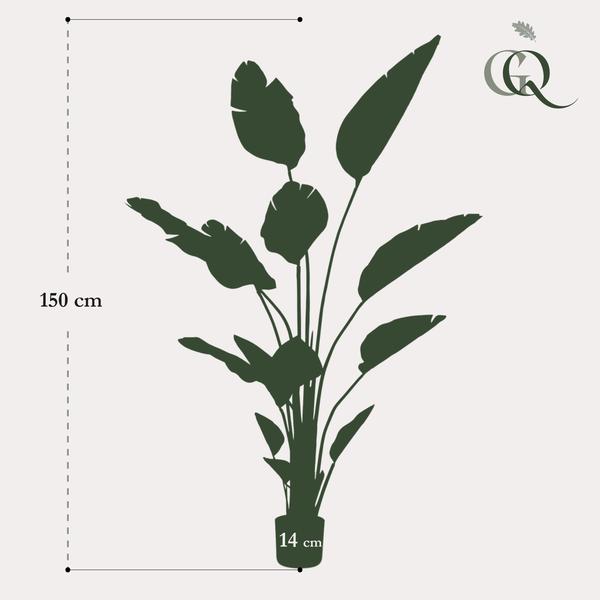 Plante artificielle - Strelitzia Nicolai - Fleur d'oiseau de paradis - 150 cm