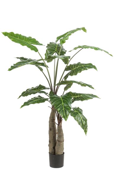Plante artificielle - Alocasia - Oreille d'éléphant - 150 cm