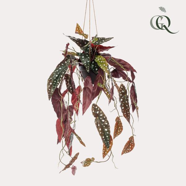 Plante artificielle - Begonia Maculata - Bégonia à pois - 80 cm
