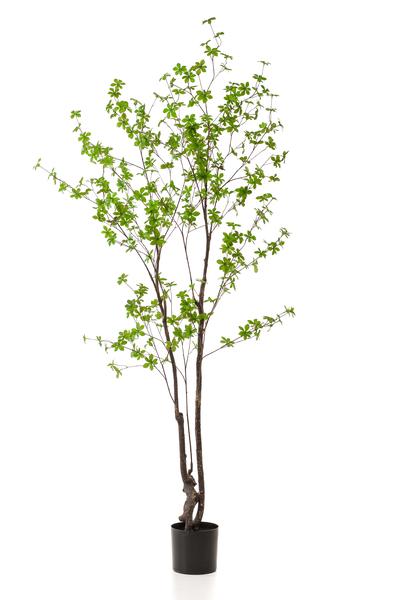 Plante artificielle - Tropaeolum Speciosum - Capucine - 210 cm