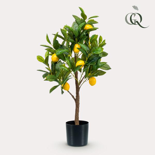 Plante artificielle - Citrus Limonia - Citronnier - 75 cm