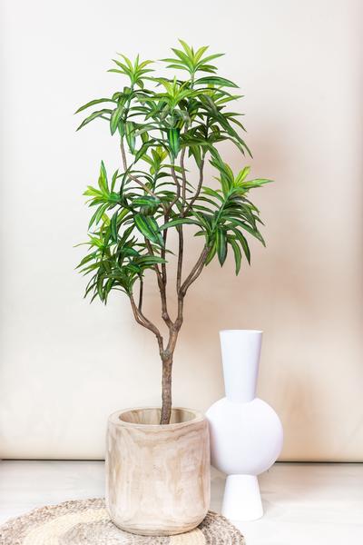 Plante artificielle - Dracaena - Dragonnier - 155 cm