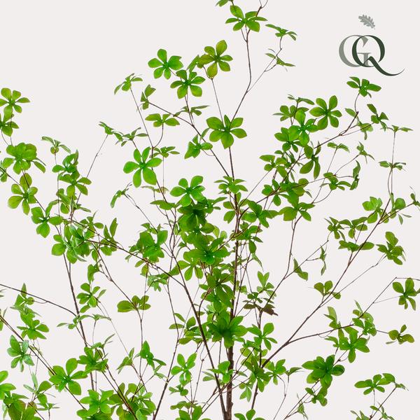 Plante artificielle - Tropaeolum Speciosum - Capucine - 210 cm