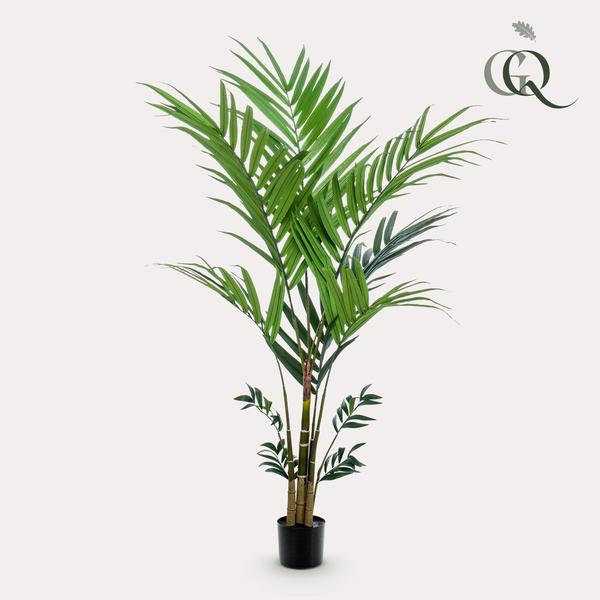 Plante artificielle - Kentia - Palmier Kentia - 180 cm