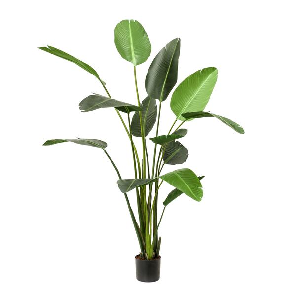 Plante artificielle - Strelitzia Nicolai - Fleur d'oiseau de paradis - 230 cm