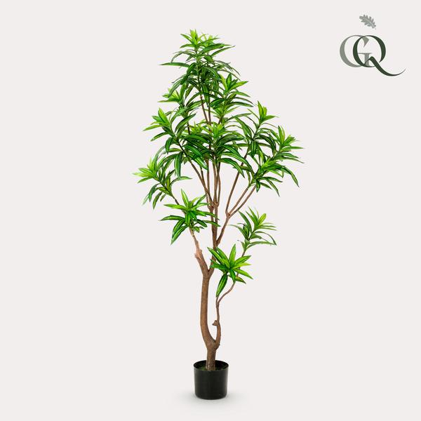 Plante artificielle - Dracaena - Dragonnier - 155 cm
