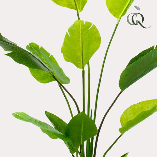 Plante artificielle - Strelitzia Nicolai - Fleur d'oiseau de paradis - 150 cm