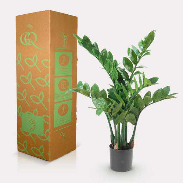 Plante artificielle - Zamioculcas - Palmier d'intérieur - 70 cm