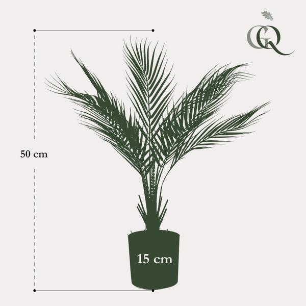 Plante artificielle - Chamaedorea - Palmier de montagne - 50 cm