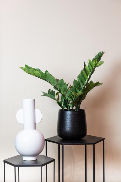 Plante artificielle - Zamioculcas - Palmier d'intérieur - 70 cm