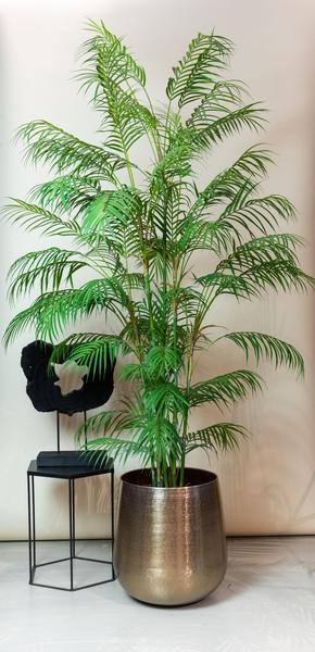 Plante artificielle - Chamaedorea Elegans - Palmier de montagne - 180 cm