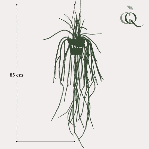 Plante artificielle - Rhypsalis - Cactus corail - 85 cm