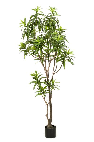 Plante artificielle - Dracaena - Dragonnier - 190 cm