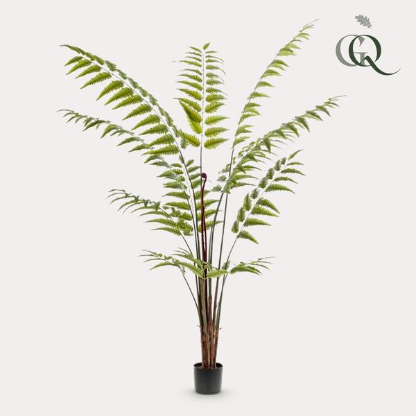 Plante artificielle - Rumohra Adiantiformis - Fougère cuir - 180 cm