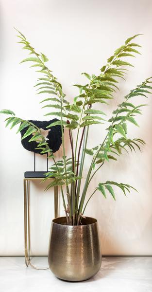 Plante artificielle - Rumohra Adiantiformis - Fougère cuir - 180 cm