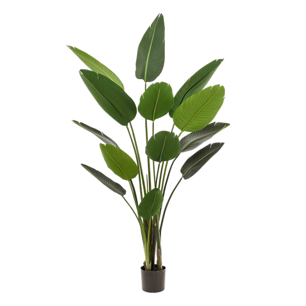 Plante artificielle - Strelitzia Nicolai - Fleur d'oiseau de paradis - 190 cm