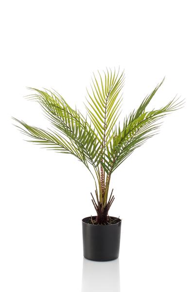 Plante artificielle - Chamaedorea - Palmier de montagne - 50 cm