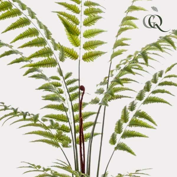 Plante artificielle - Rumohra Adiantiformis - Fougère cuir - 180 cm