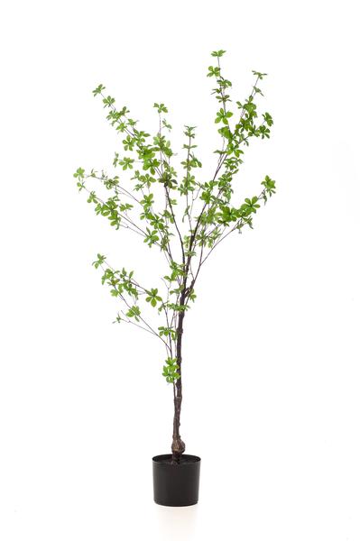Plante artificielle - Tropaeolum Speciosum - Capucine - 150 cm
