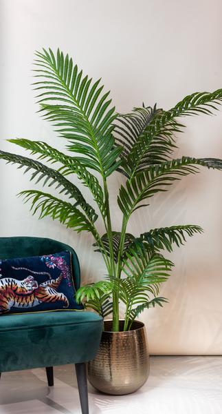 Plante artificielle - Howea Forsteriana - 160 cm