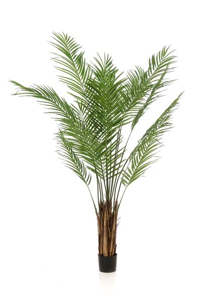 Plante artificielle - Areca Lutescens - Palmier doré - 180 cm