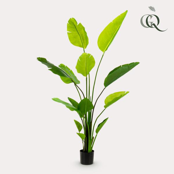 Plante artificielle - Strelitzia Nicolai - Fleur d'oiseau de paradis - 150 cm