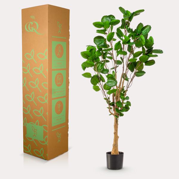Plante artificielle - Polyscias - Aralia - 150 cm