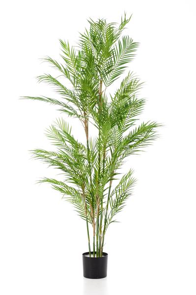 Plante artificielle - Chamaedorea Elegans - Palmier de montagne - 180 cm