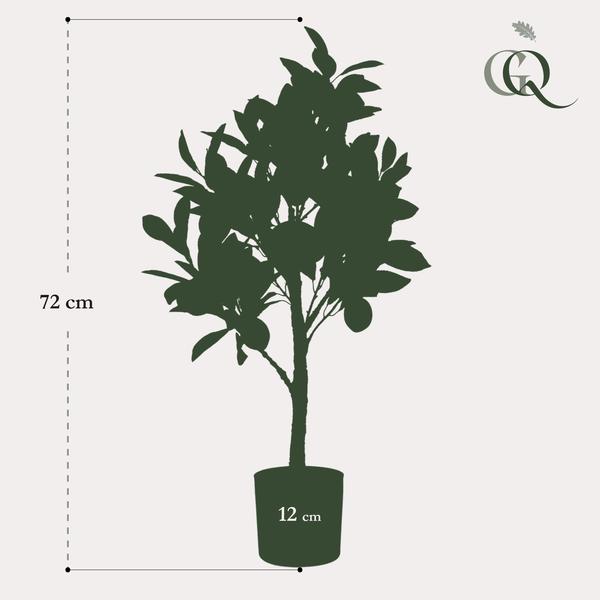 Plante artificielle - Citrus Limonia - Citronnier - 75 cm