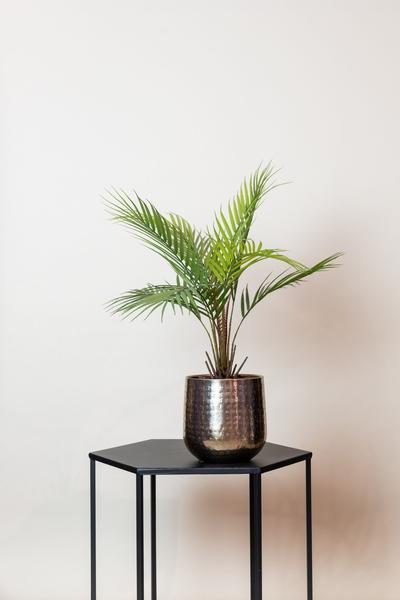 Plante artificielle - Chamaedorea - Palmier de montagne - 50 cm