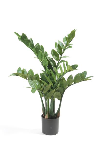 Plante artificielle - Zamioculcas - Palmier d'intérieur - 70 cm