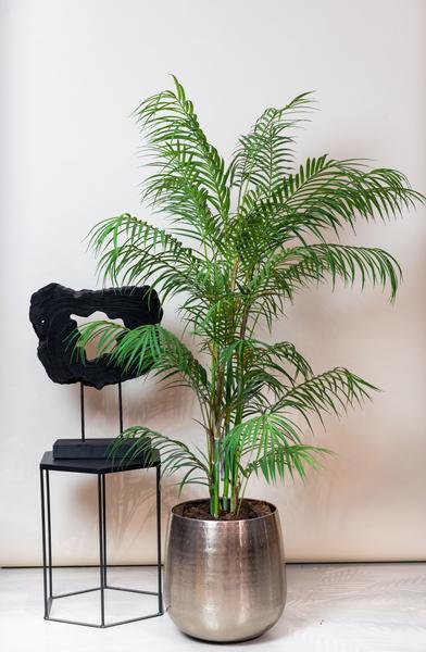 Plante artificielle - Chamaedorea Elegans - Palmier de montagne - 120 cm