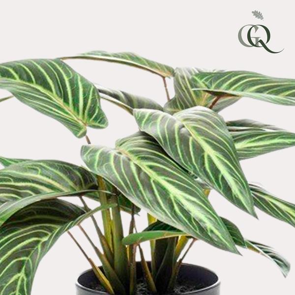 Plante artificielle - Calathea Zebrina - Plante d'ombre - 38 cm