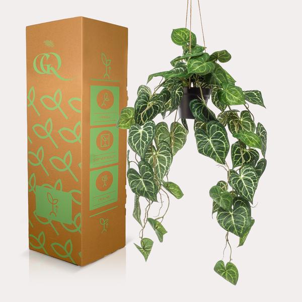 Plante artificielle - Anthurium Clarinervium - Plante veinée - 80 cm
