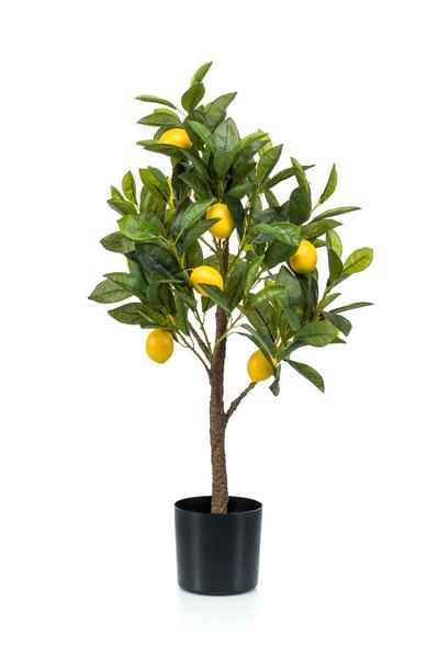 Plante artificielle - Citrus Limonia - Citronnier - 75 cm