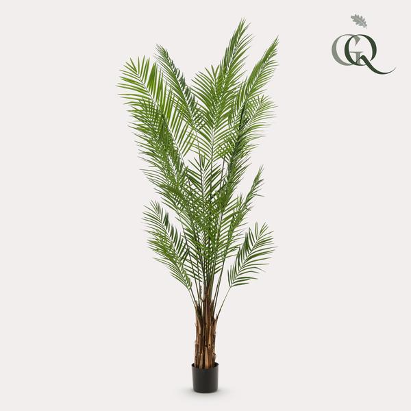 Plantes artificielles - Areca Lutescens - Palmier doré - 240 cm