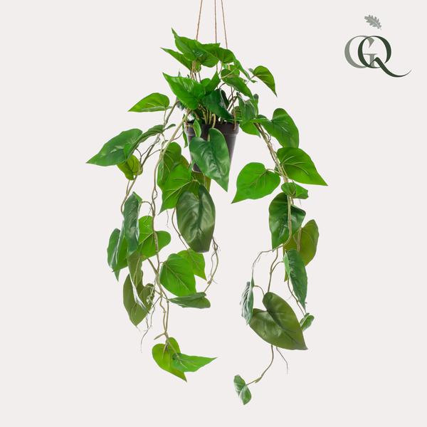 Plante artificielle - Philodendron scandens - Amateur d'arbres grimpants - 80 cm