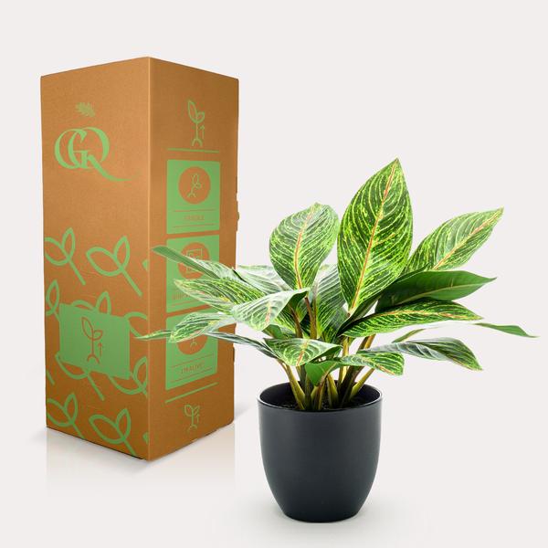 Artificial plant - Croton Codiaeum - Wonder shrub - 38 cm
