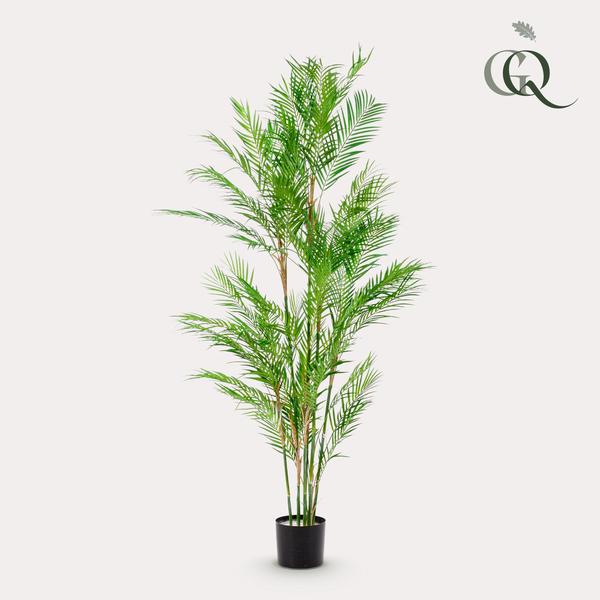 Plante artificielle - Chamaedorea Elegans - Palmier de montagne - 180 cm