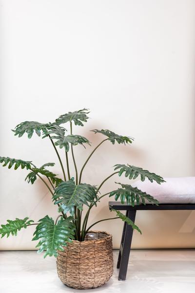 Plante artificielle - Philodendron - 80 cm