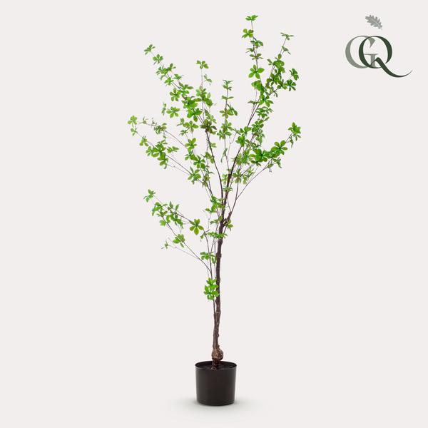 Plante artificielle - Tropaeolum Speciosum - Capucine - 150 cm