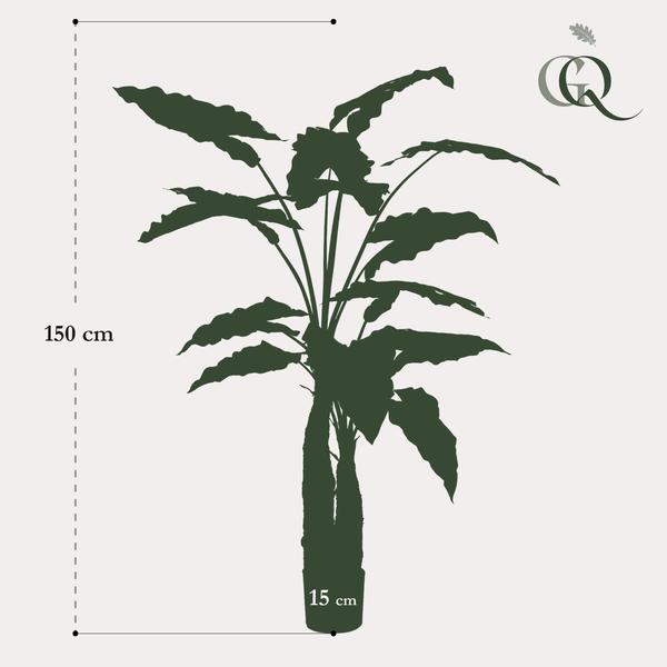 Plante artificielle - Alocasia - Oreille d'éléphant - 150 cm