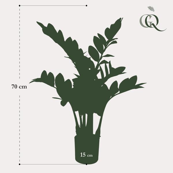 Plante artificielle - Zamioculcas - Palmier d'intérieur - 70 cm