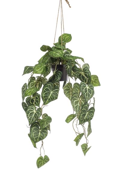 Plante artificielle - Anthurium Clarinervium - Plante veinée - 80 cm