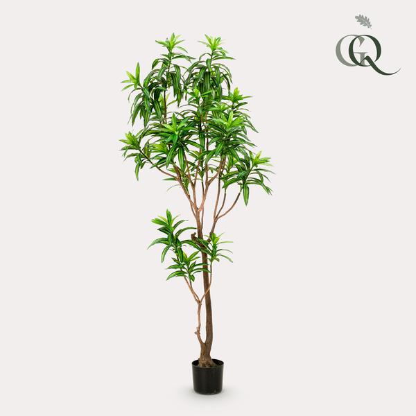 Plante artificielle - Dracaena - Dragonnier - 190 cm