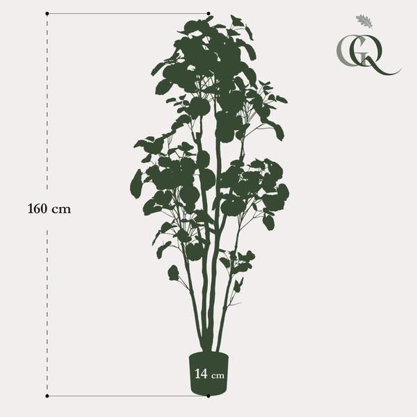 Plante artificielle - Polyscias - Aralia - 160 cm